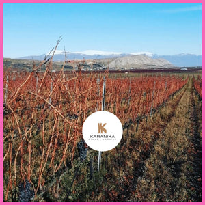 Karanika Winery Greece|  GREEK SPARKLING WINES IMPORTED TO AUSTRALIA BY DRINK GREEK 