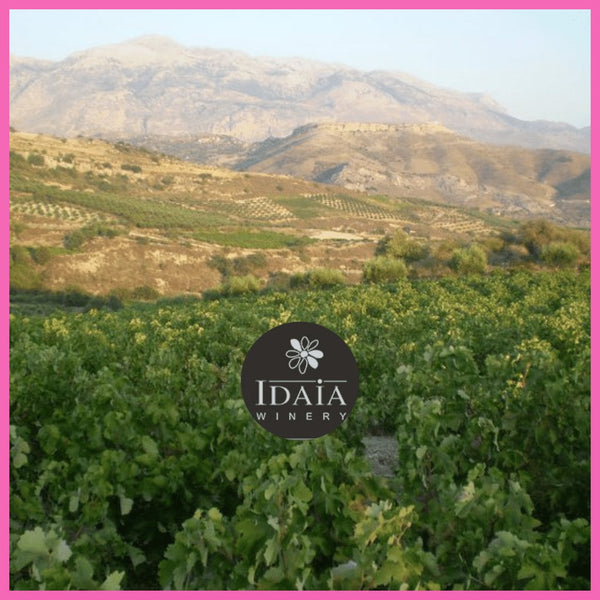 Idaia Winery Greece| Makers of Greek White Wine| Imported to Australia by Drink Greek | GREEK WHITE WINES AUSTRALIA